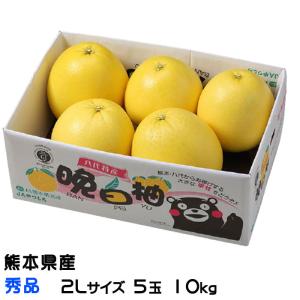 みかん 晩白柚 ばんぺいゆ 秀品 2Lサイズ 5玉 10kg 熊本県産 ミカン 蜜柑 ギフト お取り寄せ