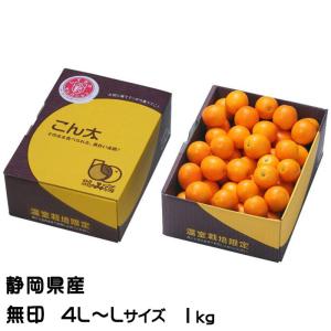 完熟きんかん こん太 無印 4L〜Lサイズ 1kg 静岡県産 JAしみず キンカン きんかん 金柑