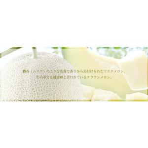 メロン クラウンメロン 山等級 1.4kg×2...の詳細画像2