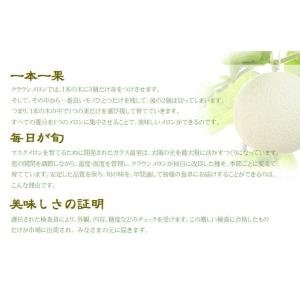 メロン クラウンメロン 山等級 1.4kg×2...の詳細画像3