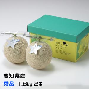 メロン プリンセスニーナ 秀品 1.2Kg×2玉 アールスメロン 高知県産 JA