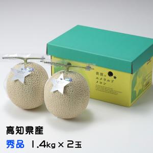 メロン プリンセスニーナ 秀品 1.2Kg×2玉 アールスメロン 高知県産 JA