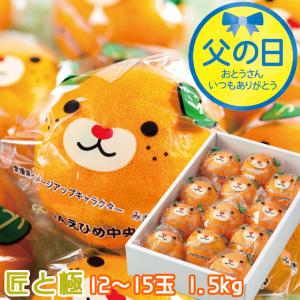 アテモヤ 訳あり 1kg（サイズ指定なし） (小玉、キズ有、サイズ