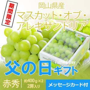 父の日 2024 マスカットオブアレキサンドリア 赤秀 400g×2房 岡山県産 ＪＡおかやま 葡萄 ぶどう ブドウ ギフト プレゼント｜hachiya-fruits