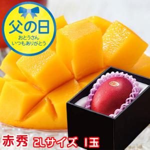 遅れてごめんね 父の日ギフト 宮崎県産 JA宮崎 完熟マンゴ...