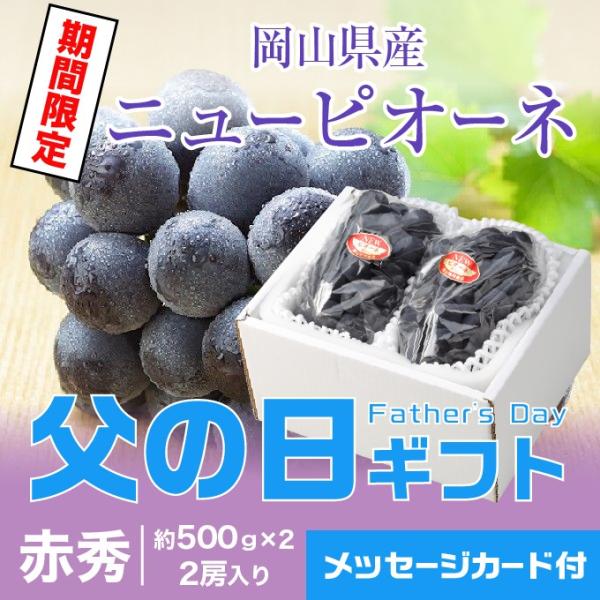 父の日 2024 ニューピオーネ 赤秀 500g×2房 岡山県産 ＪＡ岡山 ピオーネ 葡萄 ブドウ ...