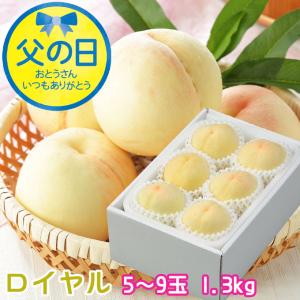遅れてごめんね 父の日 2026 岡山県産 白桃 岡山の白桃 ロイヤル 5〜9玉 1.3kg はくとう 桃 もも モモ ギフト プレゼント
