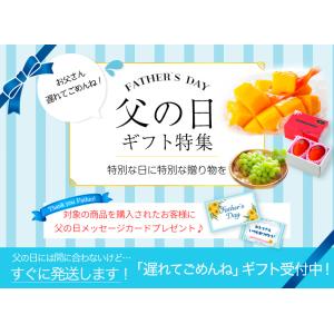 遅れてごめんね 父の日 2026 岡山県産 白...の詳細画像2