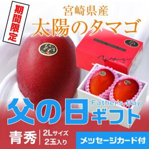 父の日 2024 太陽のタマゴ 太陽のたまご 青秀 2L×2玉 マンゴー 宮崎県産 JA宮崎経済連 ギフト プレゼント｜hachiya-fruits