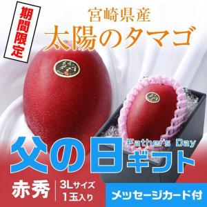 父の日 2024 太陽のタマゴ 太陽のたまご 赤秀 3L×1玉 マンゴー 宮崎県産 JA宮崎経済連 ギフト プレゼント｜hachiya-fruits