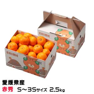 2月中旬発送】みかん はるみ 秀品 Lサイズ 8kg箱（内容量5kg）【他の