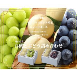 お中元 桃 ぶどう 詰め合わせ エース Lサイ...の詳細画像1