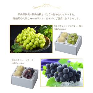 お中元 桃 ぶどう 詰め合わせ エース Lサイ...の詳細画像4