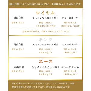 お中元 桃 ぶどう 詰め合わせ エース Lサイ...の詳細画像5