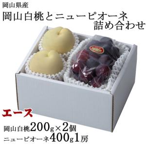お中元 ぶどう オーロラブラック 優品 3〜6房 2kg 岡山県産 JA