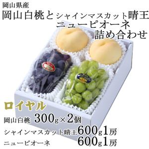 お中元 桃 ぶどう 詰め合わせ ロイヤル 3Lサイズ 岡山白桃 300g×2玉 シャインマスカット晴王 600g×1房 ニューピオーネ 600g×1房 岡山県産 セット｜hachiya-fruits