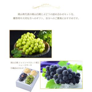 桃 ぶどう 詰め合わせ エース 3Lサイズ 岡...の詳細画像5