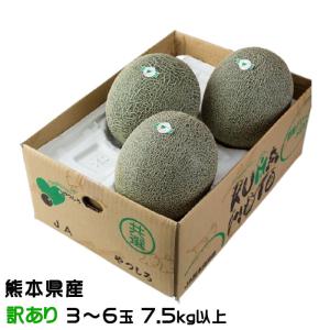 お中元 メロン 肥後グリーンメロン 風のいたずら ちょっと訳あり 3玉〜6玉 7kg★ 熊本県 ギフト