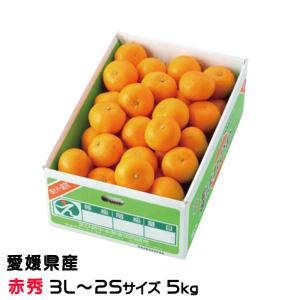 13-5+5k あいか28号みかん5キロ＆はれひめ5キロセット 北海道料金 13-5