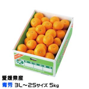 みかん はれひめ 〇等級 3L〜2Sサイズ 5kg 愛媛県産 JAえひめ中央 中島