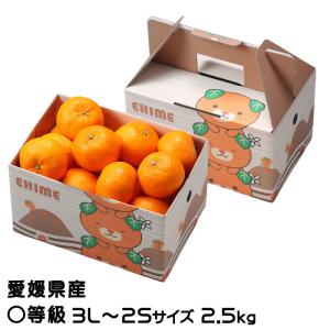 いちご＆みかん ぷるんと蒟蒻ゼリー いちご＋温州みかん | マツキヨココカラオンライン