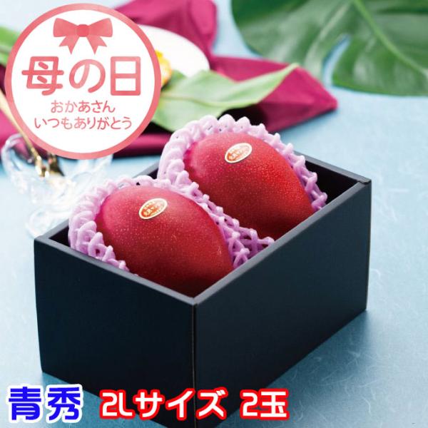 母の日 2026 みやざき完熟マンゴー 青秀 2L 350g以上×2玉 JA宮崎経済連 宮崎県産 ギ...