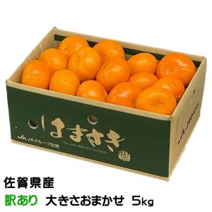 みかん はまさき 風のいたずら ちょっと訳あり 大きさおまかせ 5kg 佐賀県産 JAからつ ギフト