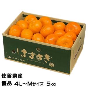 みかん ひぜんユース 秀品 6L〜Lサイズ 5kg にじゅうまると同品種 JA