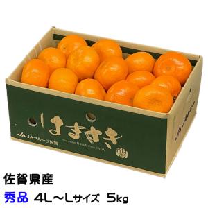 みかん はまさき 秀品 4L〜Lサイズ 5kg 佐賀県産 JAからつ ギフト