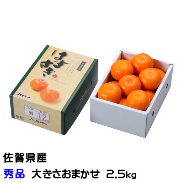 みかん はまさき 秀品 大きさおまかせ 2.5kg 佐賀県産 JAからつ ギフト