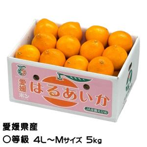 愛果48(プリンセス) 2L 希少　箱込5kg　少し傷あり　愛媛県松山市産 2026年3月発送予定】愛果48号 2kg L～2Lサイズ 紅プリンセス同一品種