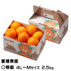 濱田農園 プレミアム紅まどんなジュース 720ml 1本入 紅マドンナ 愛媛