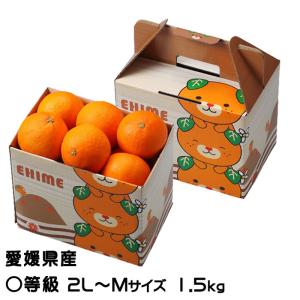 紅プリンセス愛媛県の新柑橘。約3kgL〜3L : 果物百貨店 浜中屋 紅プリンセス愛媛県の新柑橘。約3kgL〜3L : 果物百貨店 浜中屋