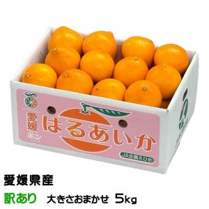 みかん はるあいか 風のいたずら ちょっと訳あり 大きさおまかせ 5kg 愛媛県産 紅まどんなと甘平の掛け合わせ 紅プリンセスと同品種 ミカン ギフト