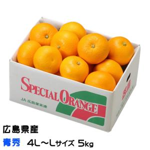 八朔 はっさく 青秀 4L〜L 10〜18玉 5kg ■ 広島県産 JA尾道市 因島選果場 ハッサク みかん ミカン