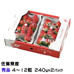 イチゴさん専用③ 佐賀県産 いちご いちごさん 秀品 L〜3Lサイズ 2パック入り （箱