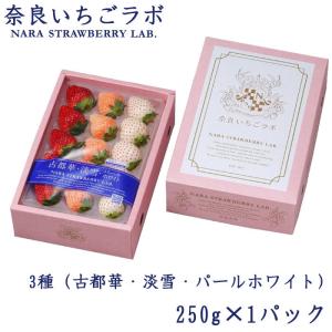 長崎産イチゴ ”ゆめのかいちご” 約300g×2pc 大粒1パック7〜11粒 長崎産イチゴ ”ゆめのかいちご” 約300g×2pc 大粒1パック7〜11粒