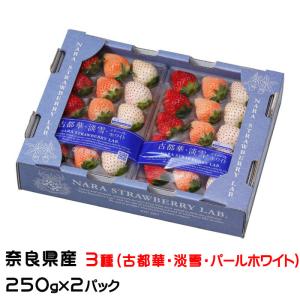 【奈良県】NARA STRAWBERRY LAB. 3色いちごセット✖️2 いちご 三色いちご 奈良県産 2パック 爆買 : 産直プレミアム - 通販