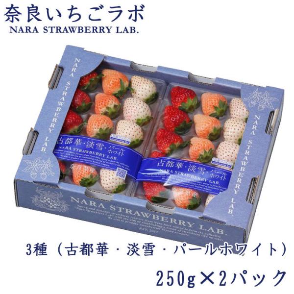 いちご 奈良いちごラボ 3種 （古都華・淡雪・パールホワイト）250g×2パック奈良県産 苺 イチゴ...