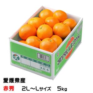 みかん 宮内伊予柑 赤秀 2L〜Lサイズ 5kg JAえひめ中央 愛媛県産 中島産 ミカン 蜜柑 いよかん