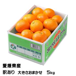 みかん 宮内伊予柑 風のいたずら 訳あり 大きさおまかせ 5kg JAえひめ中央 愛媛県産 中島産 ...