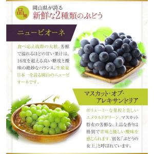 ニューピオーネ&マスカット・オブ・アレキサンド...の詳細画像4