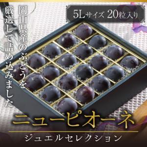 ぶどう ニューピオーネ ジュエルセレクション 特秀 5Lサイズ 20粒 岡山県産 葡萄 ブドウ お中元 父の日｜hachiya-fruits