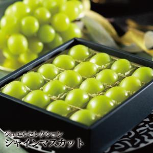 富士の輝 ブラックシャインマスカット 葡萄 約800g〜1kg 2房入り 山梨