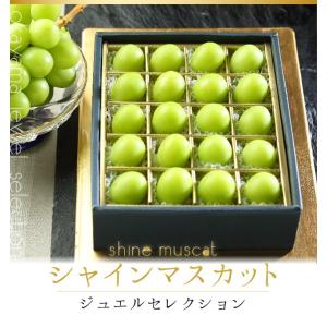 シャインマスカット ジュエルセレクション 岡山...の詳細画像1