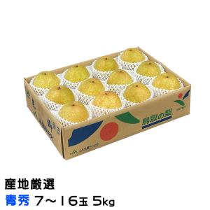梨 甘太 かんた 産地厳選 青秀 7玉〜16玉 5kg ナシ なし
