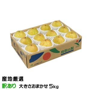 千葉梨 幸水・豊水・あきづき・新高 約10kg 14〜28玉 大玉限定 訳あり