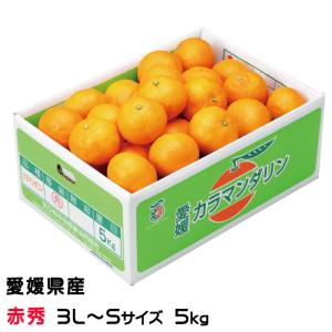 カラマンダリン 家庭用 訳あり S〜Mサイズ 約5kg 愛媛県 フルーツ