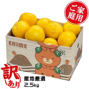 河内晩柑 訳あり 約10キロ（9kg+保証分500g）ジューシーオレンジ 