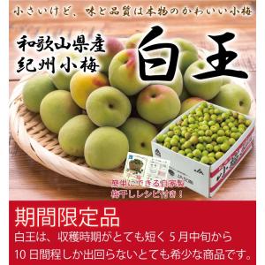 梅 紀州小梅 白王 秀品 2L〜Mサイズ 1kg ＪＡ紀南 和歌山県産 レシピ付き 梅干し用 生梅 うめ ウメ